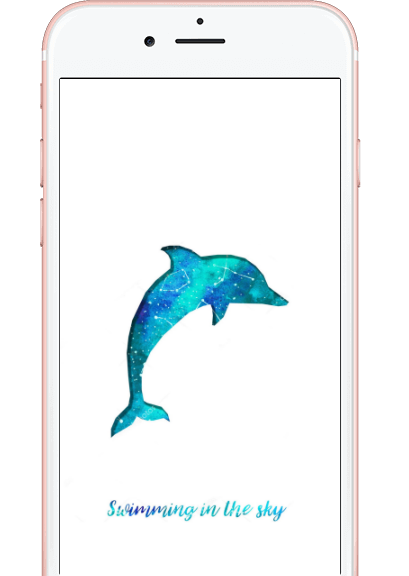 phone